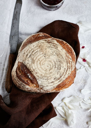 
            
                Load image into Gallery viewer, white sussex sourdough half loaf 550g
            
        